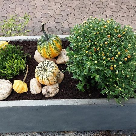 Ferienwohnung "Auszeit" Hofheim in Unterfranken Exteriér fotografie
